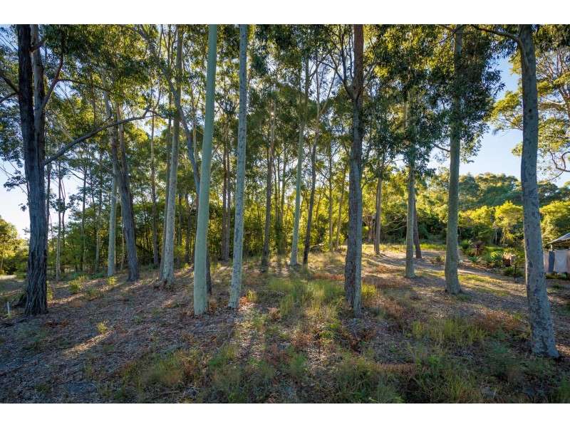 16 & 17/156-158 Riverview Road, North Narooma NSW 2546