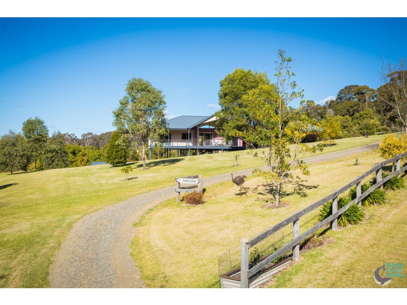 77 Rainforest Parkway, Narooma NSW 2546
