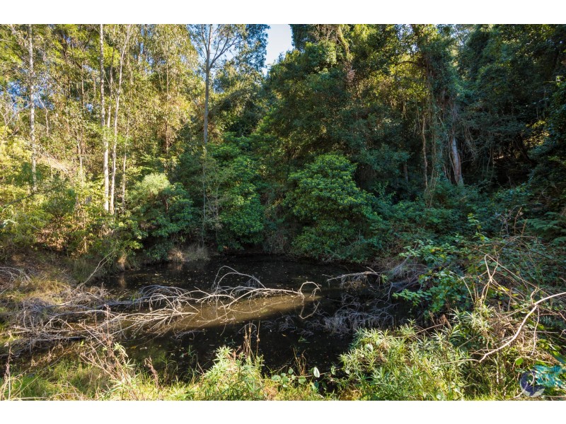 275 Ridge Road, Central Tilba NSW 2546