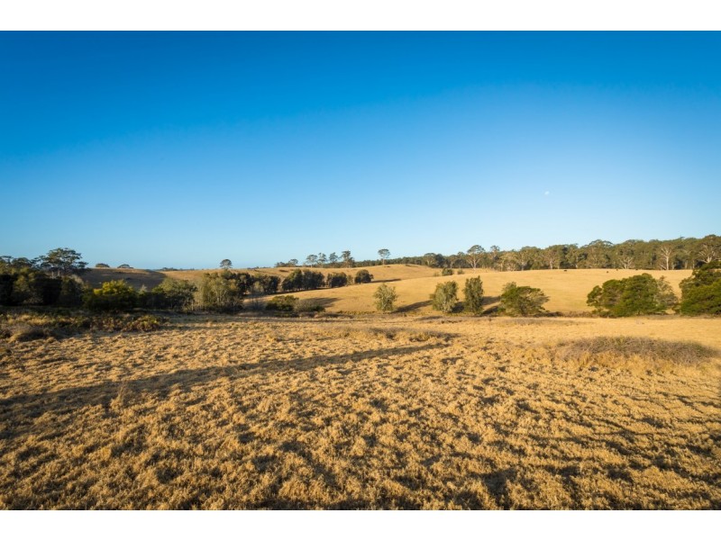 20 Princes Highway, Bodalla NSW 2545