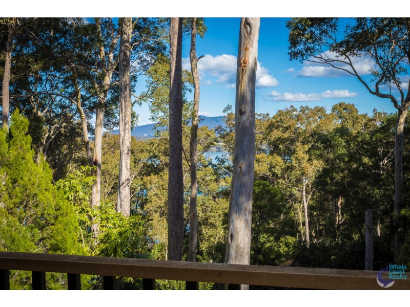 49 Eastaway Avenue, North Narooma NSW 2546