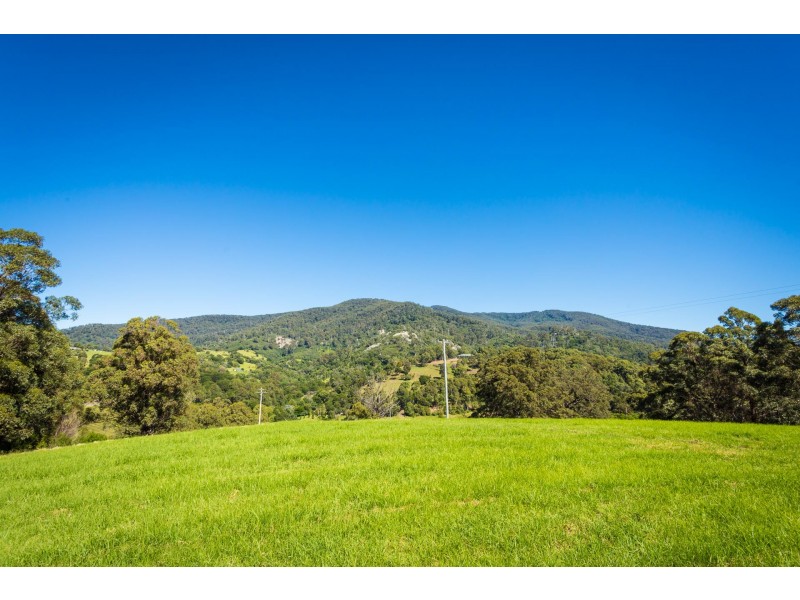 302a Punkalla Tilba Road, Central Tilba NSW 2546