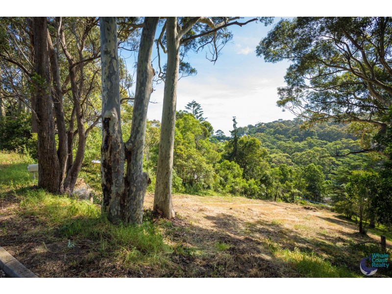 21 Princes Highway, North Narooma NSW 2546