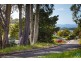 21 Princes Highway, North Narooma NSW 2546