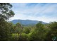 81 Dignams Creek Road, Dignams Creek NSW 2546