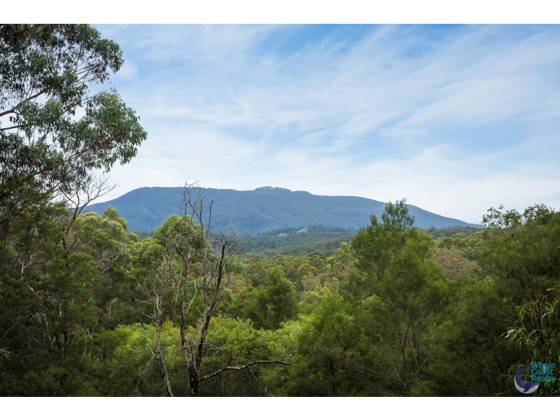 81 Dignams Creek Road, Dignams Creek NSW 2546