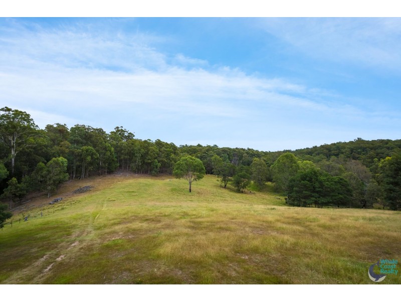 81 Dignams Creek Road, Dignams Creek NSW 2546