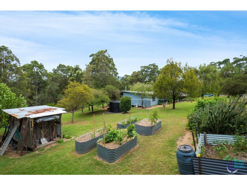 Dignams Creek NSW 2546