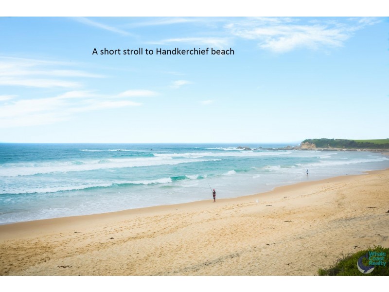 Cabin 85 7323 Princes Highway, Narooma NSW 2546