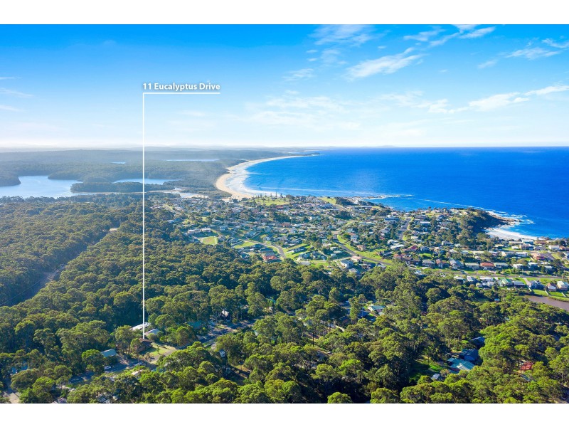 11 Eucalyptus Drive, Dalmeny NSW 2546