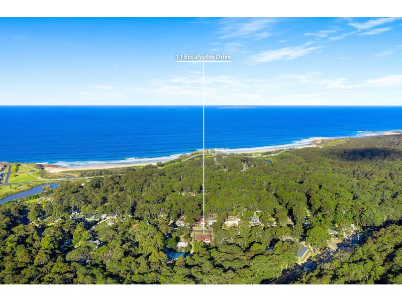 11 Eucalyptus Drive, Dalmeny NSW 2546
