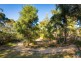 11 Eucalyptus Drive, Dalmeny NSW 2546