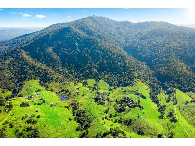 49 Mount Dromedary Trail, Tilba Tilba NSW 2546