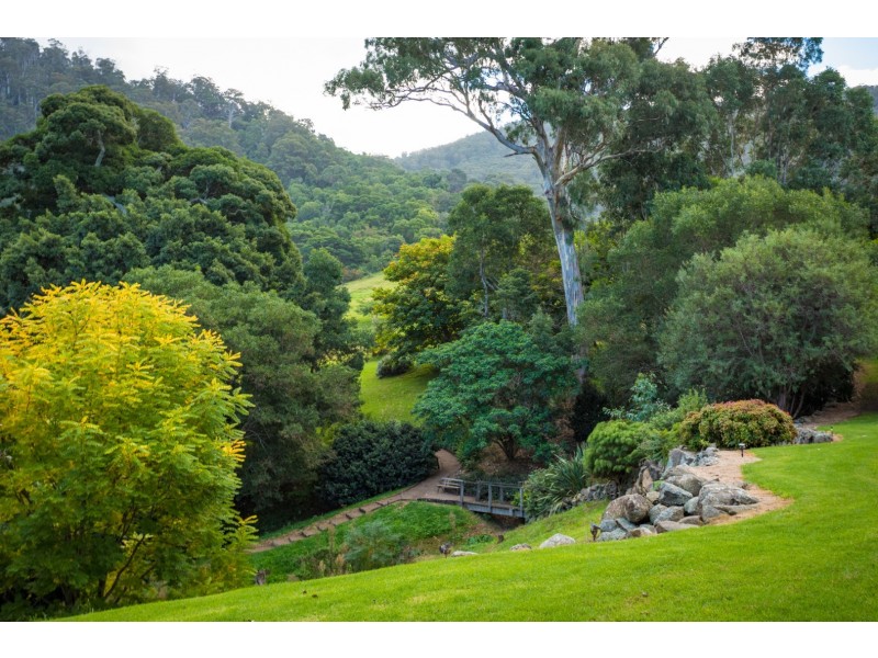 49 Mount Dromedary Trail, Tilba Tilba NSW 2546