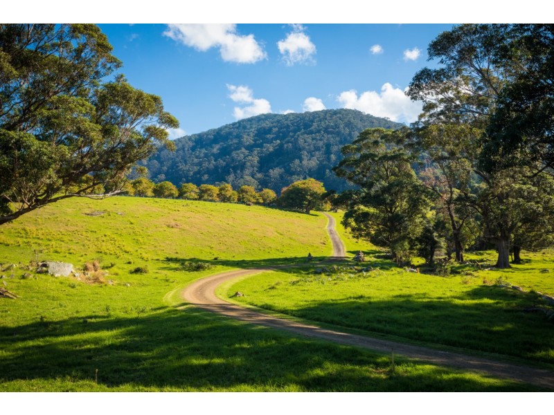 49 Mount Dromedary Trail, Tilba Tilba NSW 2546