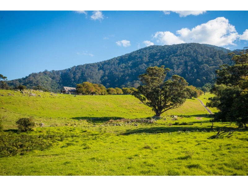 49 Mount Dromedary Trail, Tilba Tilba NSW 2546