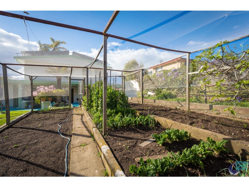 32 Thomson Parade, Dalmeny NSW 2546