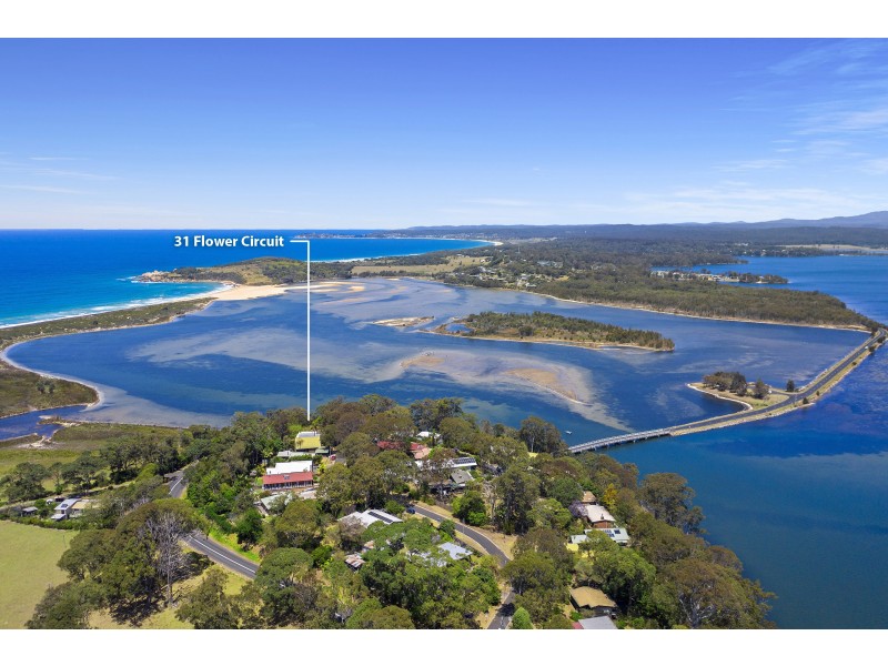 31 Flower Circuit, Akolele NSW 2546