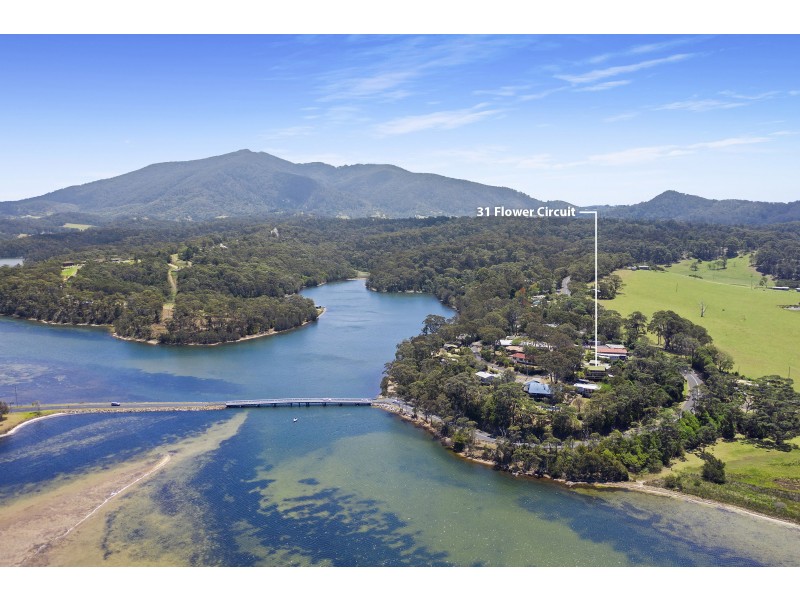 31 Flower Circuit, Akolele NSW 2546