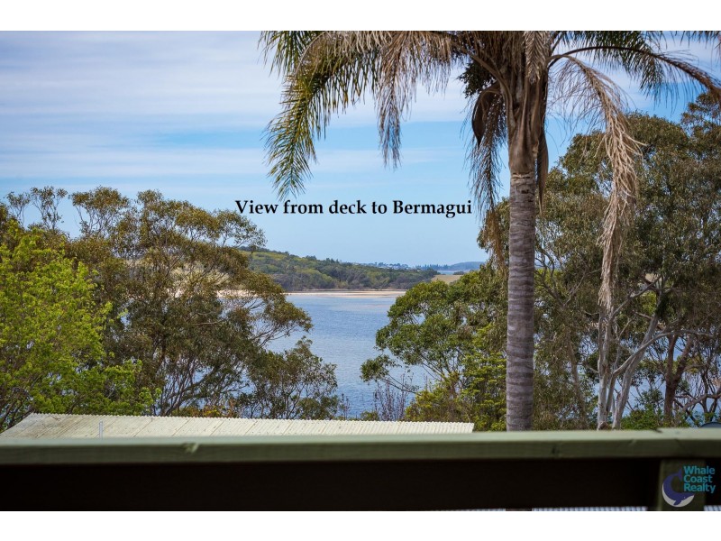 31 Flower Circuit, Akolele NSW 2546