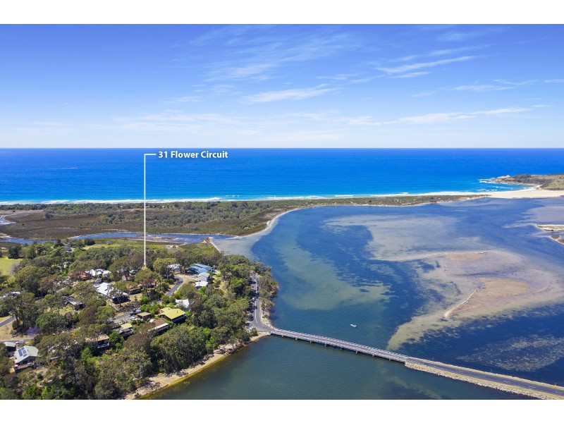 31 Flower Circuit, Akolele NSW 2546