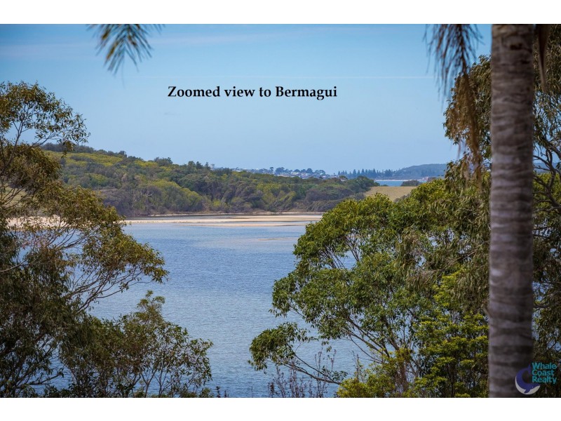 31 Flower Circuit, Akolele NSW 2546