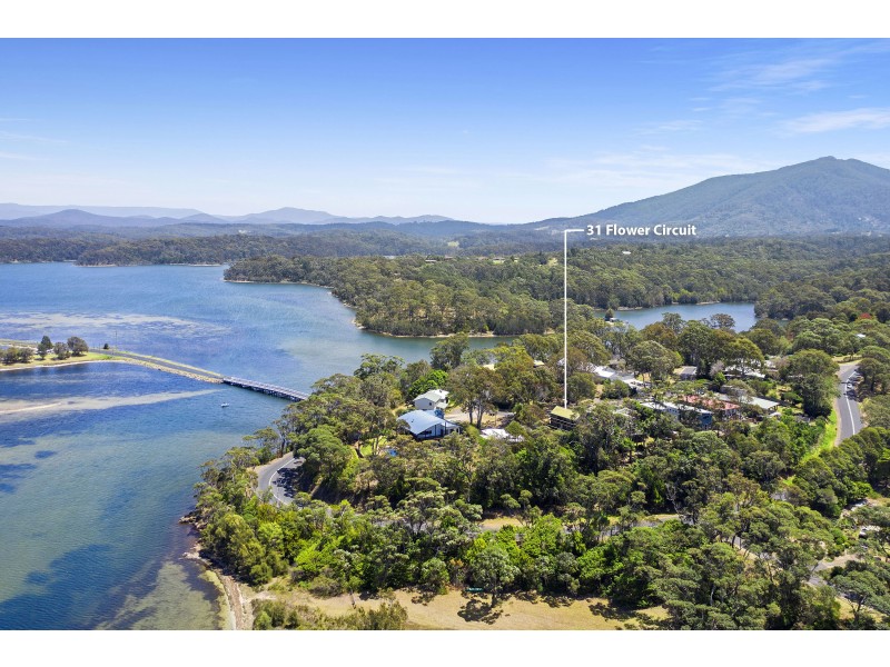 31 Flower Circuit, Akolele NSW 2546