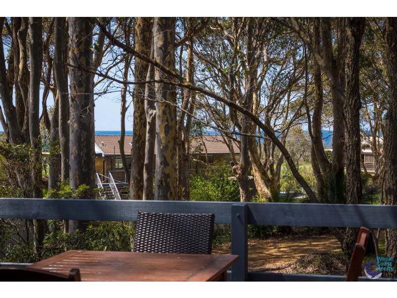 51 Maculata Circuit, Dalmeny NSW 2546