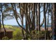 51 Maculata Circuit, Dalmeny NSW 2546