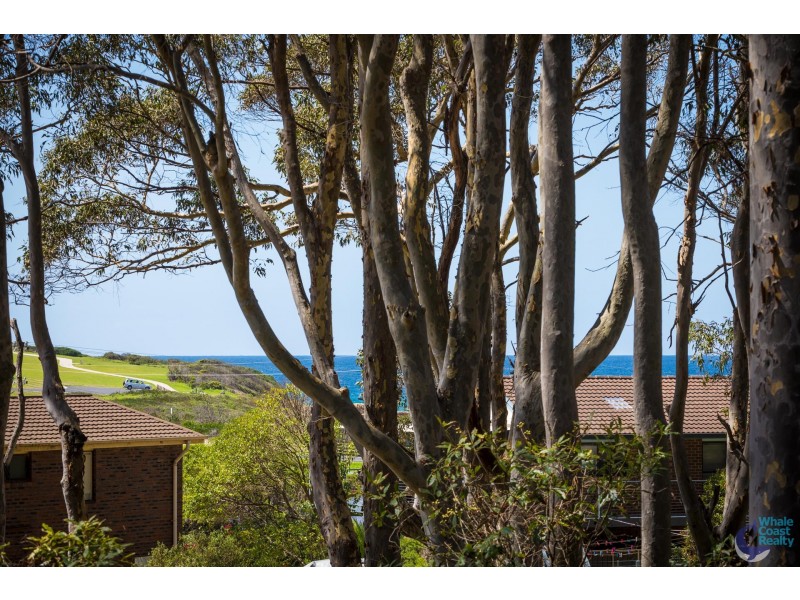 51 Maculata Circuit, Dalmeny NSW 2546