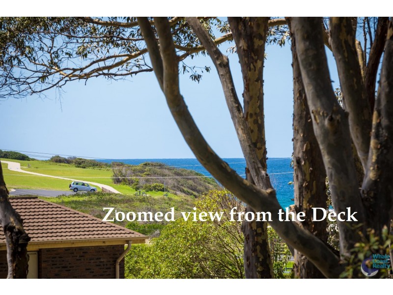 51 Maculata Circuit, Dalmeny NSW 2546