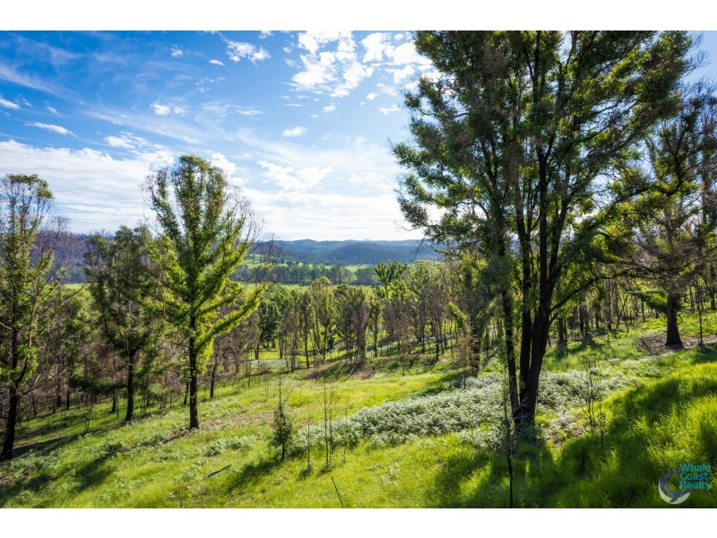 81 Waincourt Road, Eurobodalla NSW 2545