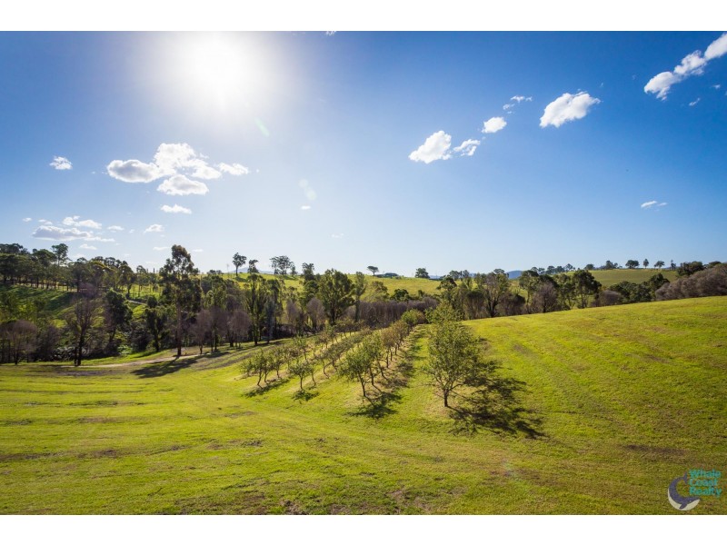 11171 Princes Highway, Cobargo NSW 2550