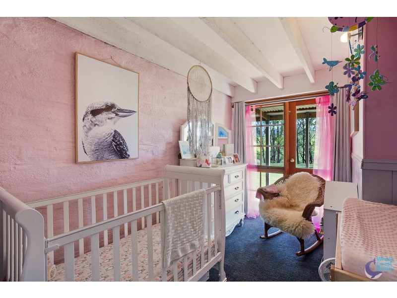 11171 Princes Highway, Cobargo NSW 2550