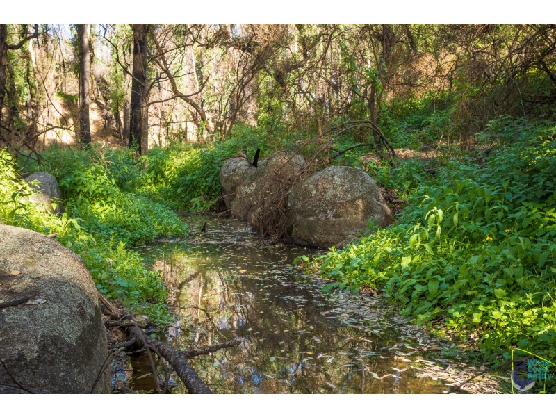 11171 Princes Highway, Cobargo NSW 2550