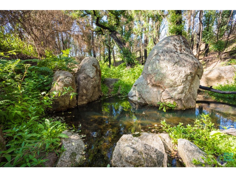 11171 Princes Highway, Cobargo NSW 2550