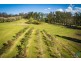 11171 Princes Highway, Cobargo NSW 2550