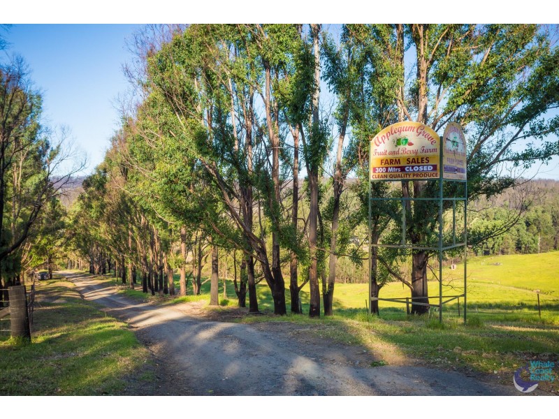 11171 Princes Highway, Cobargo NSW 2550