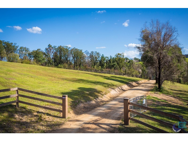 11171 Princes Highway, Cobargo NSW 2550