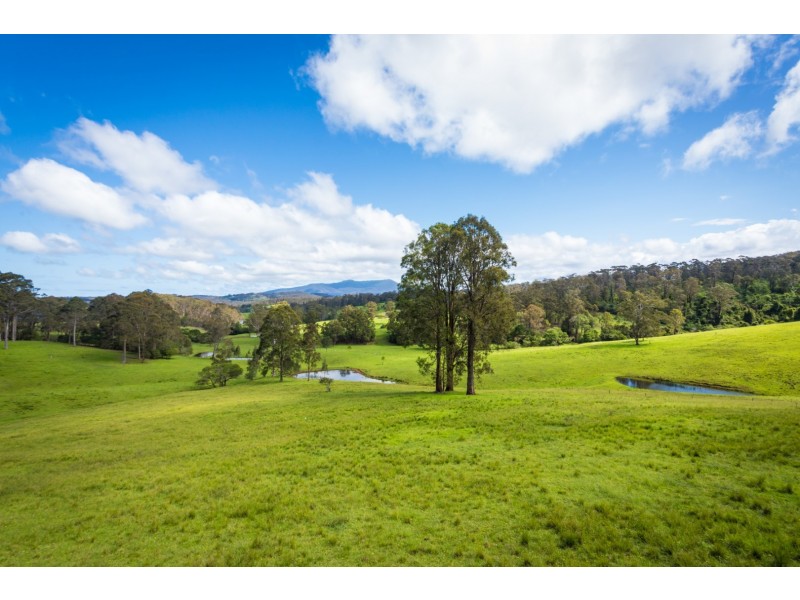 272 Riverview Road, North Narooma NSW 2546