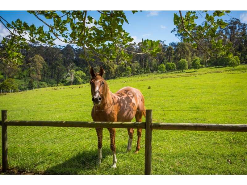 272 Riverview Road, North Narooma NSW 2546