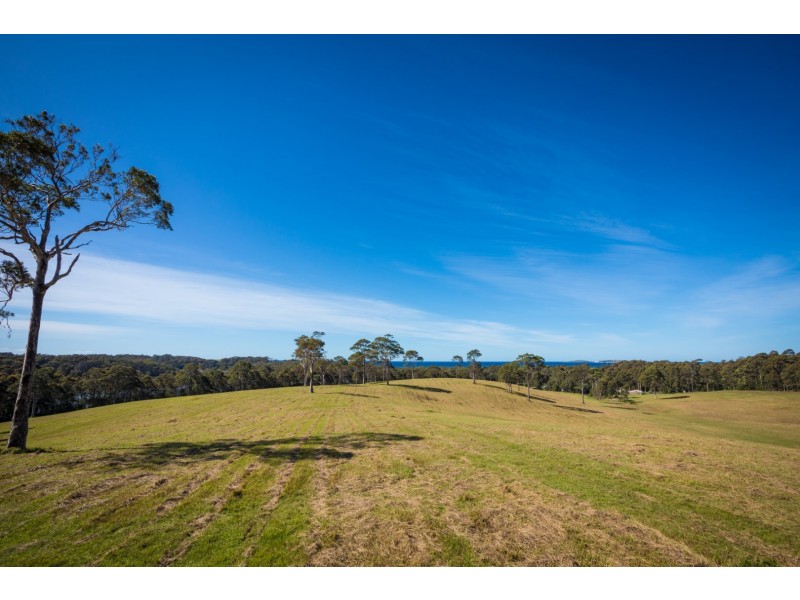 7514 Princes Highway, Narooma NSW 2546