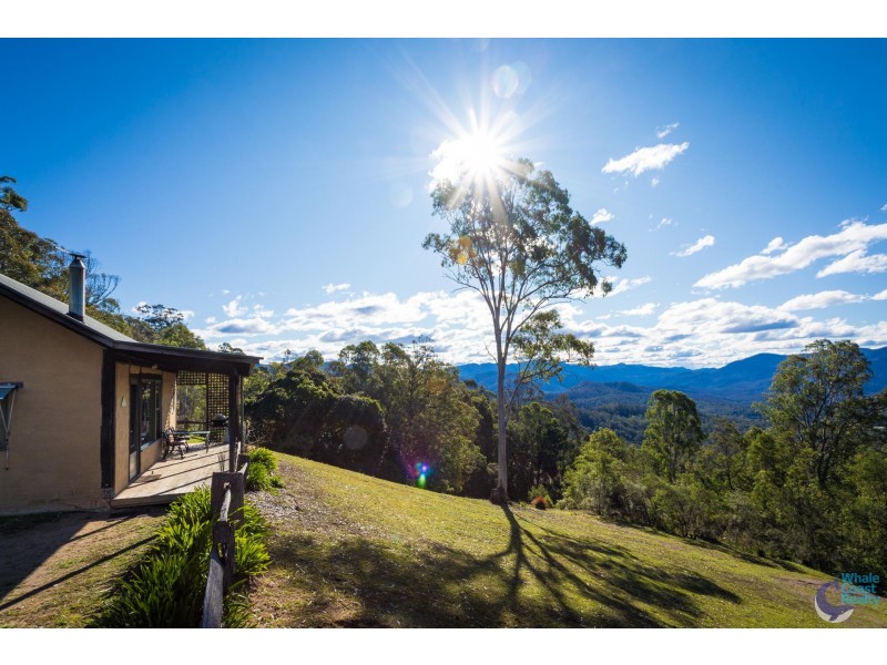 864 Warrigal Range Road, Brogo NSW 2550
