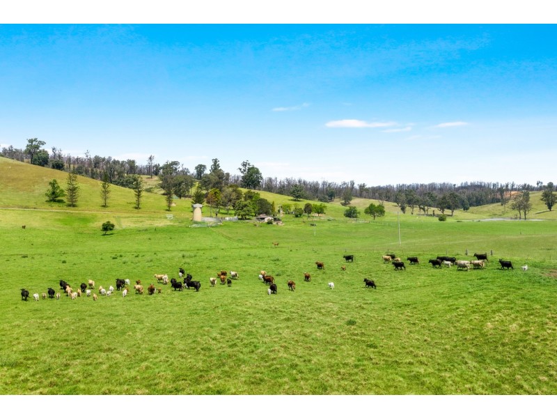 1188 Eurobodalla Road, Eurobodalla NSW 2545