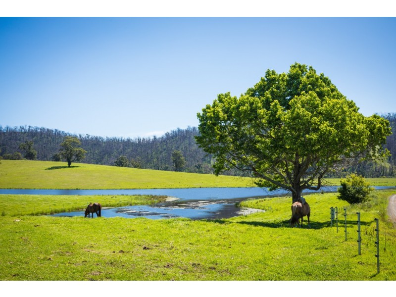 1188 Eurobodalla Road, Eurobodalla NSW 2545