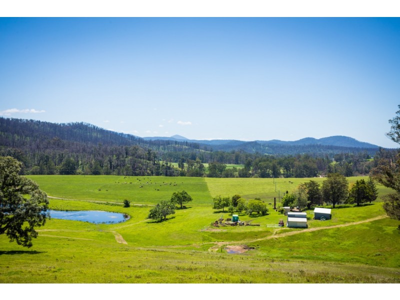 1188 Eurobodalla Road, Eurobodalla NSW 2545