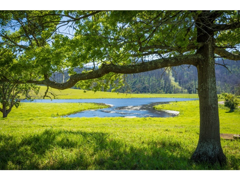 1188 Eurobodalla Road, Eurobodalla NSW 2545