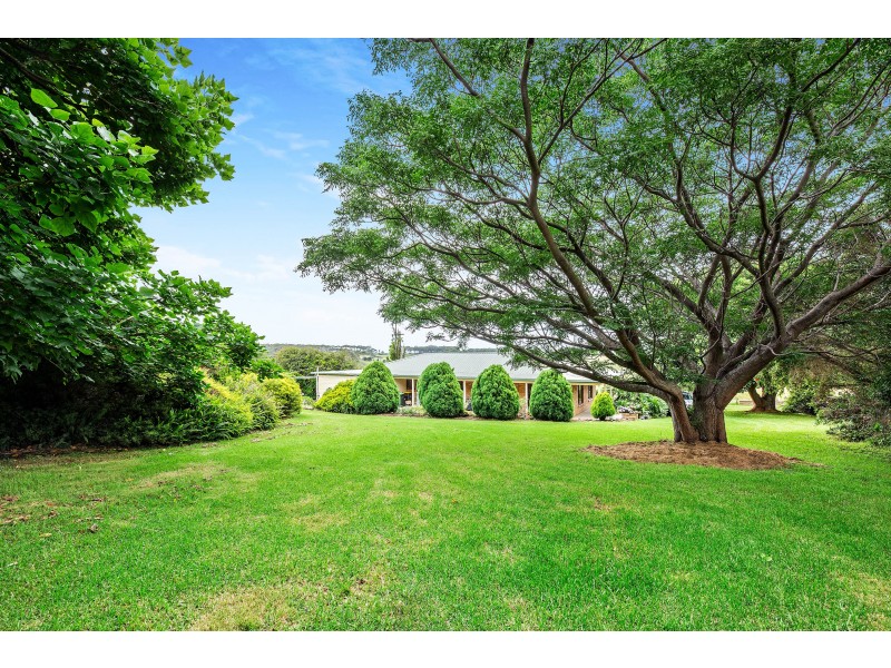 149 Sunnyside Road, Central Tilba NSW 2546