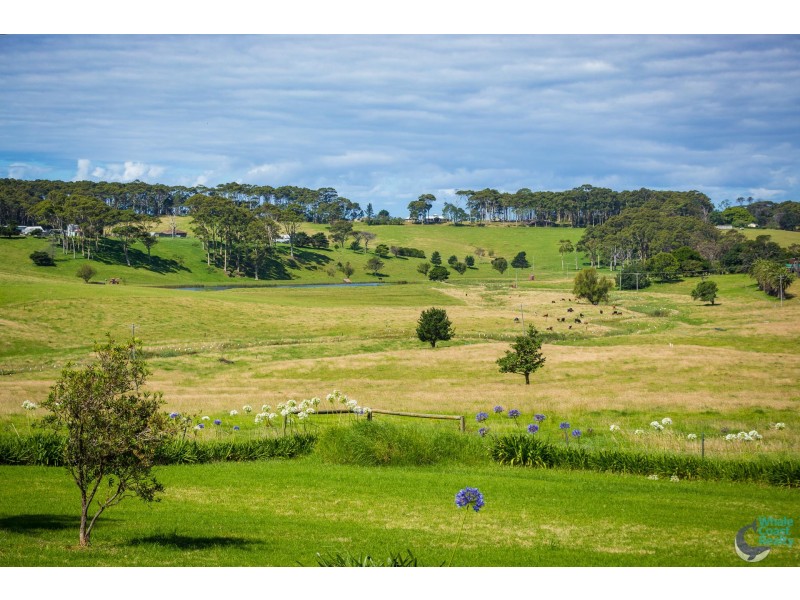 149 Sunnyside Road, Central Tilba NSW 2546