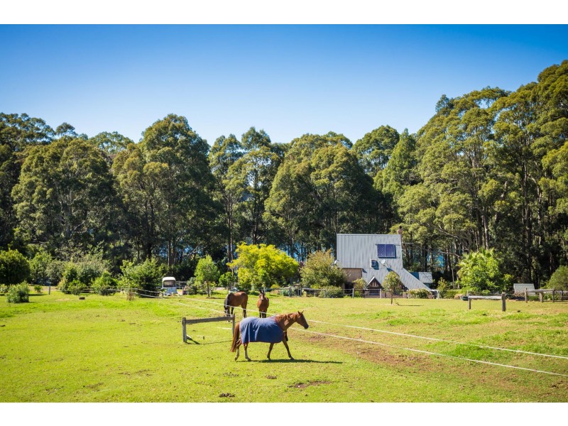 20 Treetops Street, Narooma NSW 2546